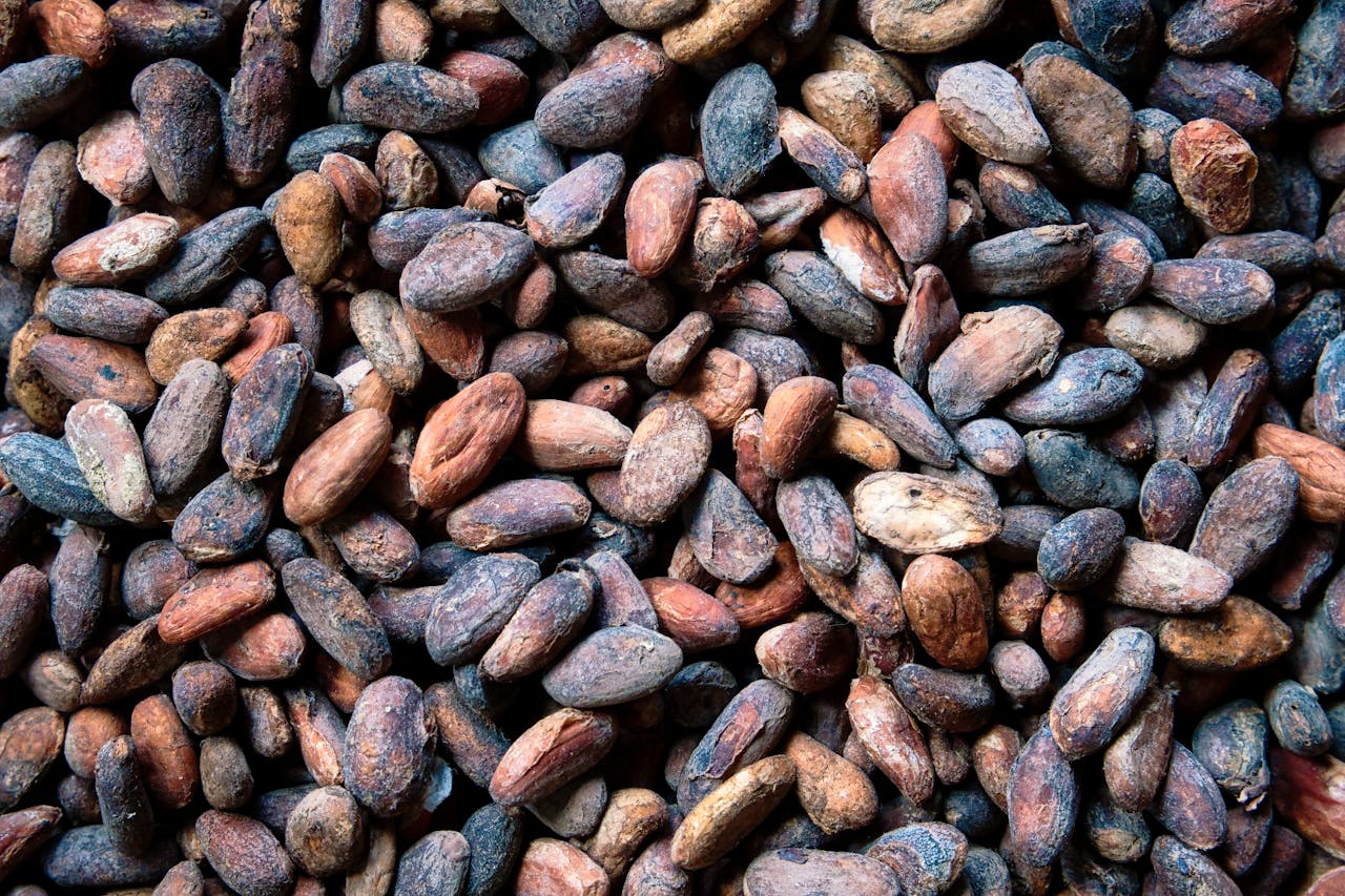 Caffè e Cacao
